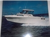 1985 Baha Cruisers Express Sportfisherman