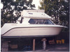 1991 Carver 260 Aft Cabin