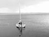 1963 Marshall Sanderling Catboat