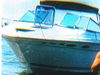 1990 Sea Ray Runabout